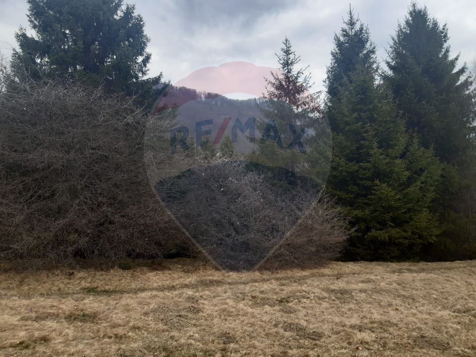 Teren Rasnov/ Soseaua Predealului DN73B