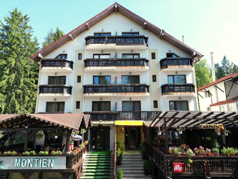 14 room Hotel / Pension for sale, Vladet - Trei Brazi area