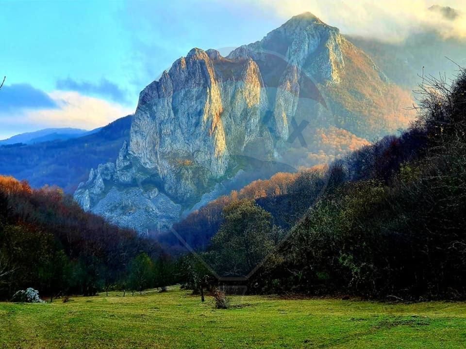 Cabana de vânzare în Valea Mănăstirii, Alba