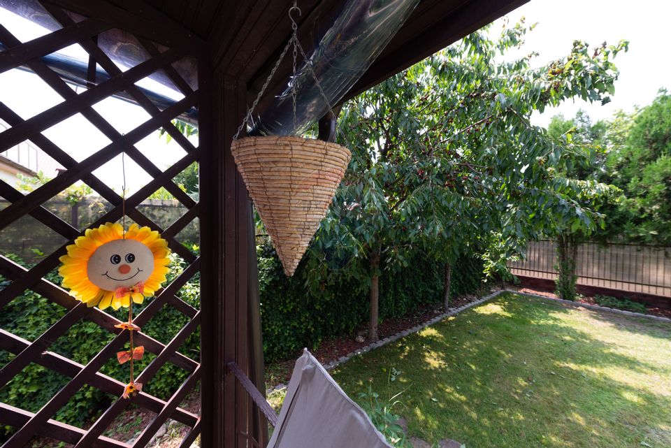 Casa de vanzare cu P+1 si 800mp teren Ilfov Cornetu Bragadiru