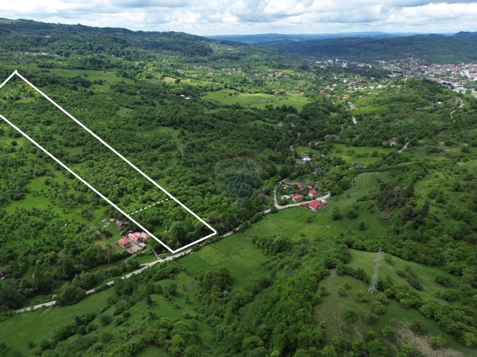 Land 12,895sqm Campulung-Muscel / Strada Valea Romanestilor