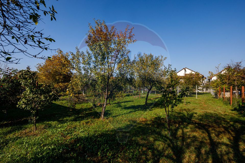 Imobil multifuncțional de închiriat, Micălaca – Calea Radnei