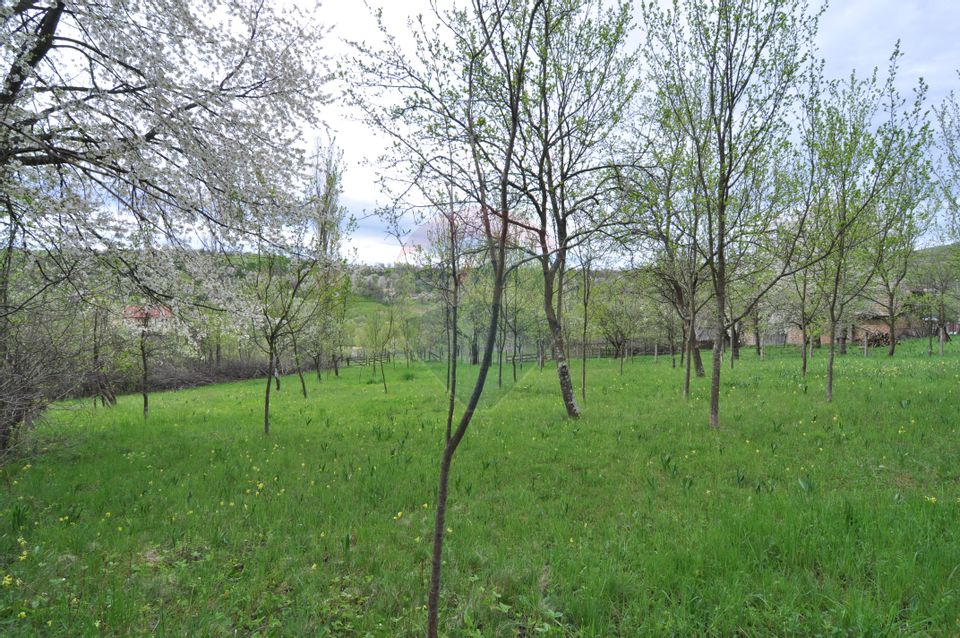 Land 2,811sqm Masca / Strada Principala