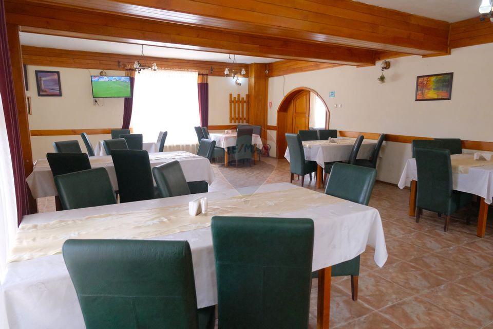 14 room Hotel / Pension for sale, Vest area