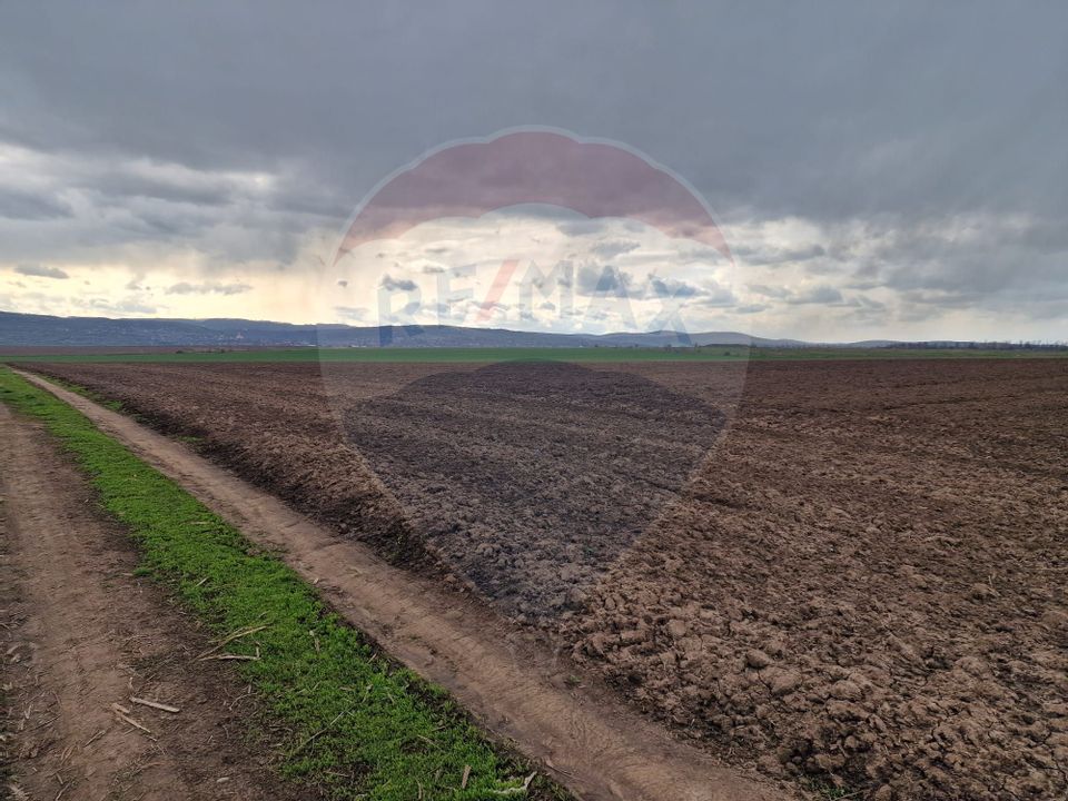 Teren 10,000mp Bacau / Strada Alexandru Safran