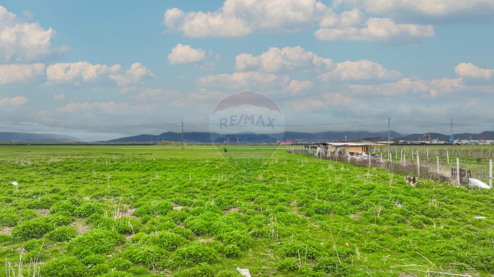 COMISION 0% | Teren intravilan hale producție/depozitare | Brașov