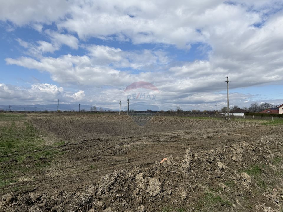 Teren 9,431mp Bizighesti / DJ 205E