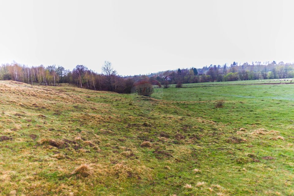 Comision 0% Teren 1433mp-2000mp sau 4164 mp Rasnov-Glajerie