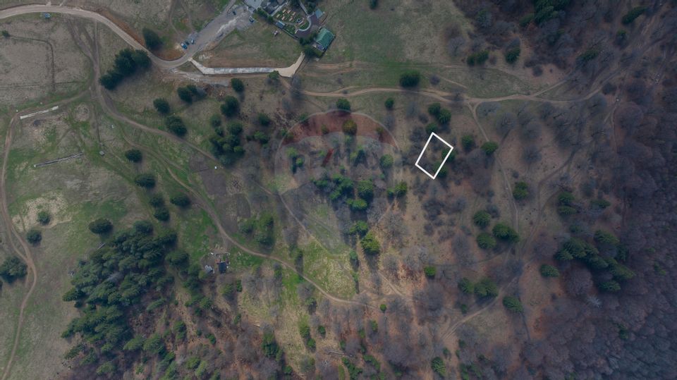 Teren de vânzare – 1000 mp în Poiana Mică | Investiție ideală!