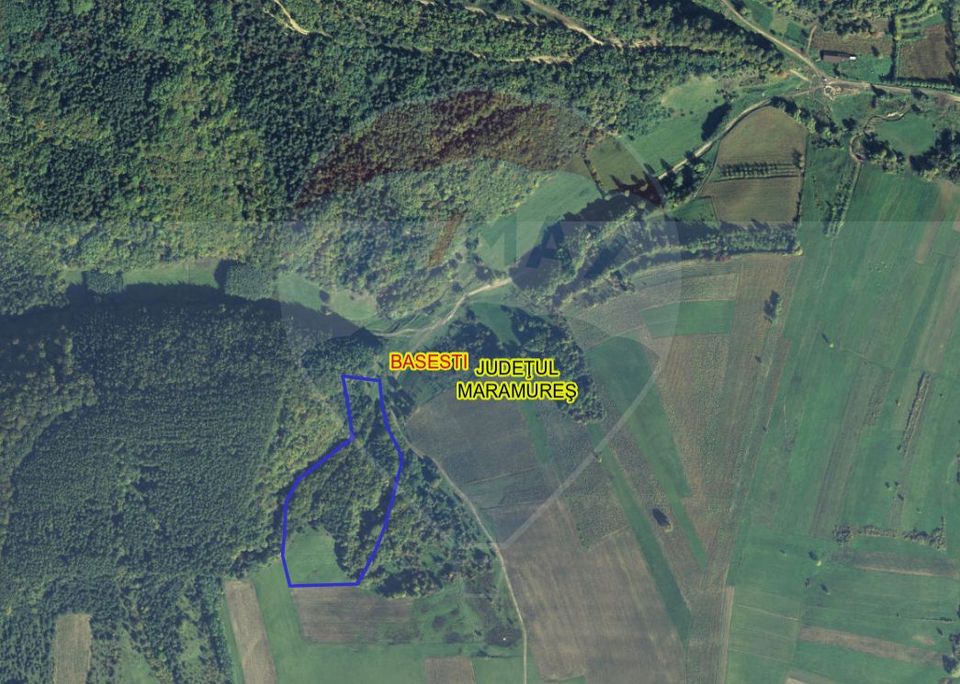 Pădure de vanzare cu zona de cabană Odesti