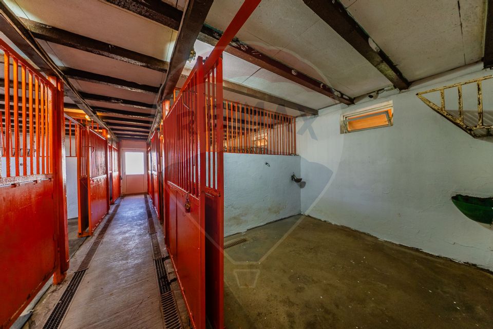 Land 4,000sqm Zadareni / Drumul Drumul principal