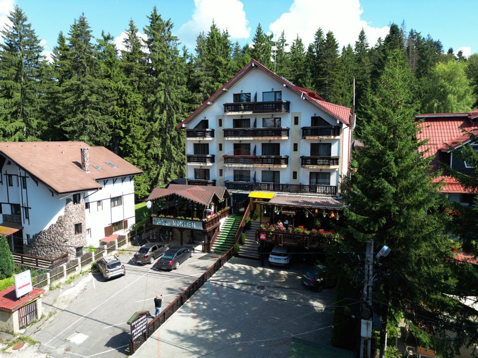 14 room Hotel / Pension for sale, Vladet - Trei Brazi area