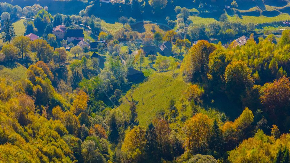 COMISION 0% Teren 11,381 mp Moieciu de Jos / Oportunitate unică