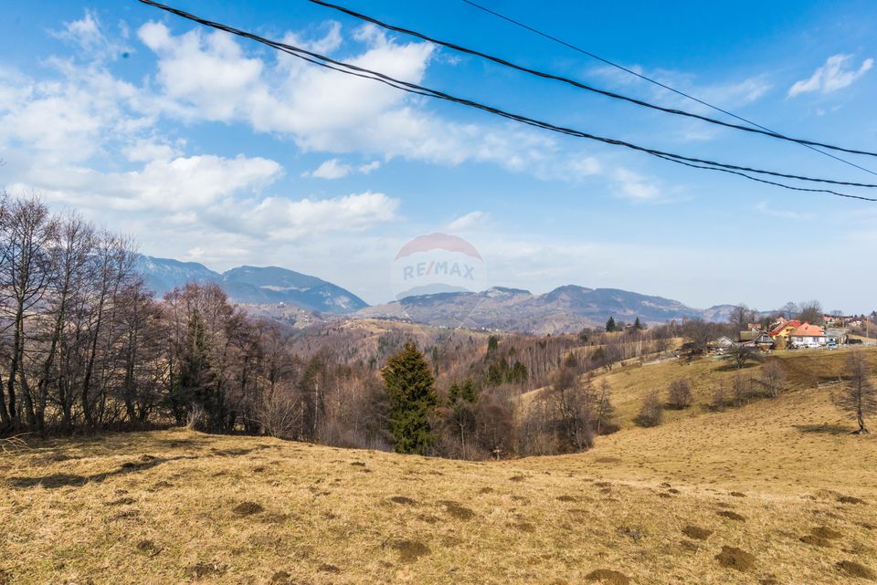 Comision 0%! Teren Moieciu de Jos 1500 mp