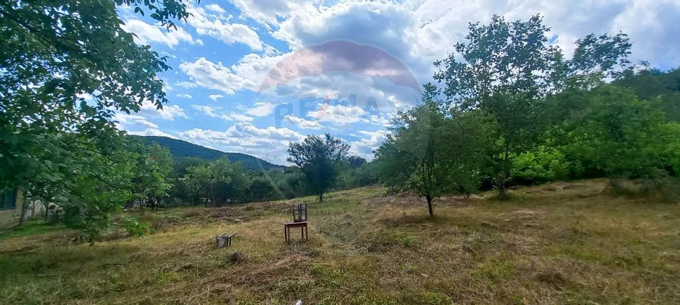 Teren Intravilan de vanzare 3551mp Poiana Copaceni Com Gura Vitioarei