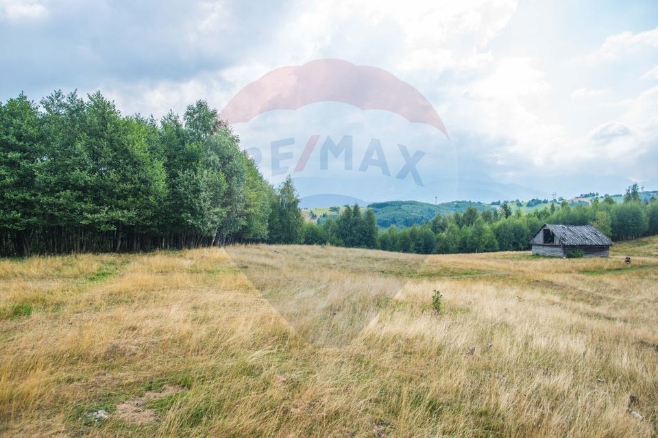 Teren extravilan Moieciu 45316mp