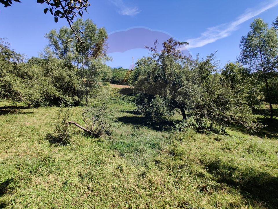 Land 3,718sqm Remetea Chioarului / Strada Principală