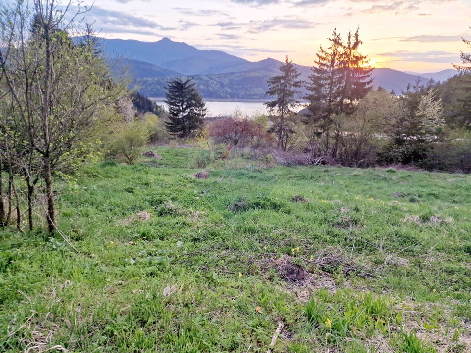 Land 941sqm Hangu / DN ruginesti