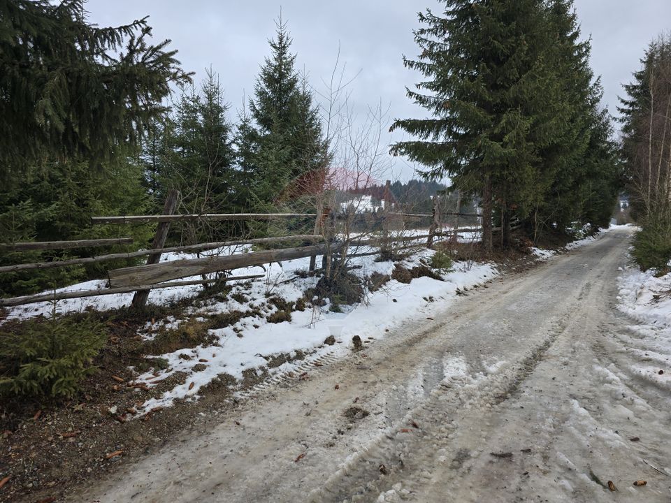 Teren 3,868mp Dorna-Arini / Strada Principala