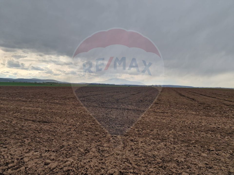 Teren 10,000mp Bacau / Strada Alexandru Safran