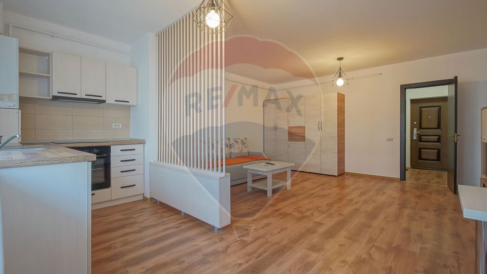 1 room Apartment for rent