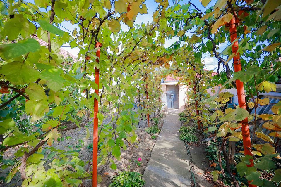 Casă cu 2 camere de vânzare în zona Ioșia Strada Arțarilor