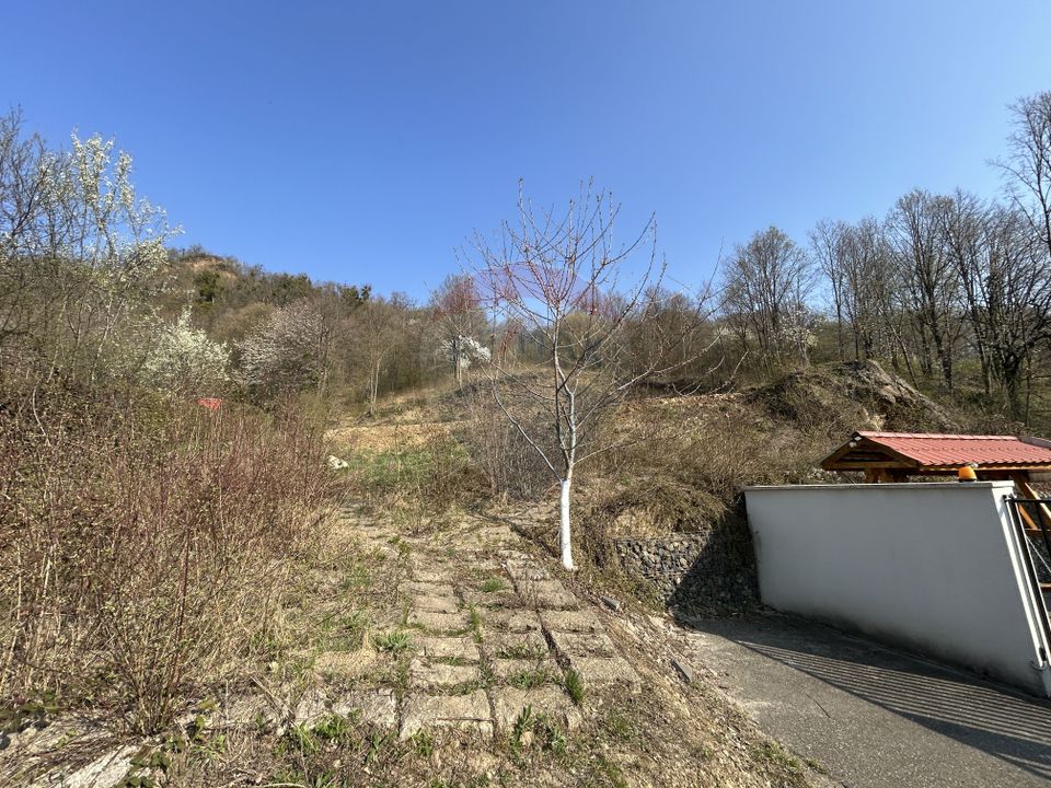 Teren intravilan 756mp si cota parte de drum Baia Mare / Str. Viilor