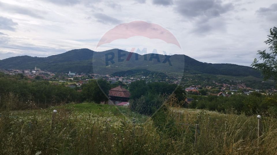 TEREN INTRAVILAN 2900 mp ȘIMLEU SILVANIEI/ Str. Corneliu Coposu/Sălaj