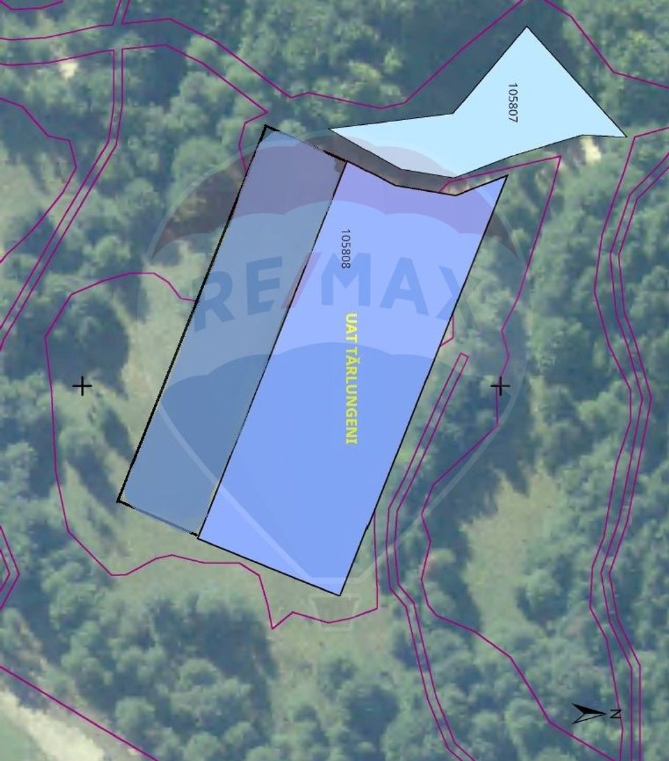 Land 6,000sqm Dalghiu / DJ 103A