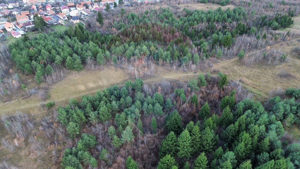 Teren Sacele / Strada Valea Larga 2000 mp