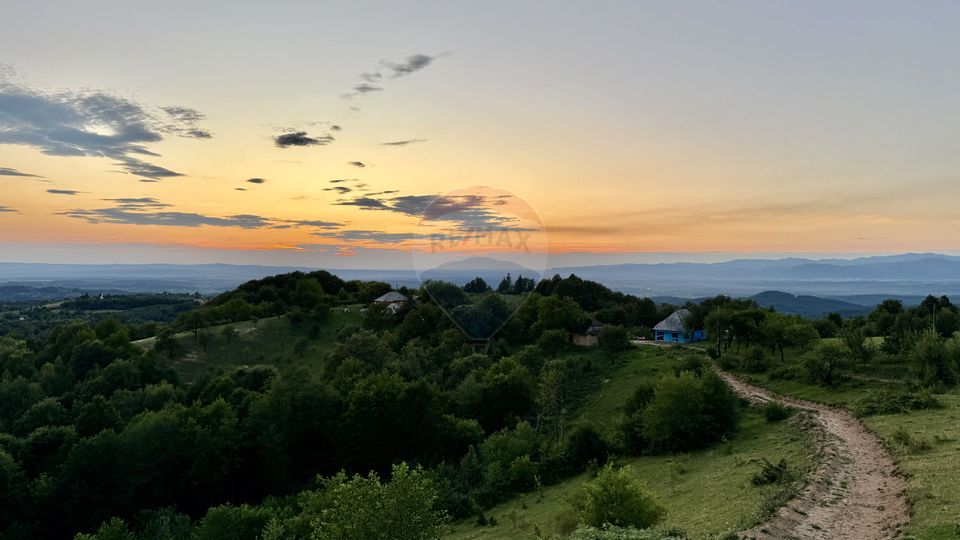 DE VANZARE CASA CU SUFELT SI ISTORIE