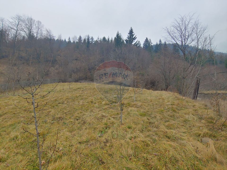 Casă / Vilă in Bucovina-Vama-Prisaca Dornei-Suceava