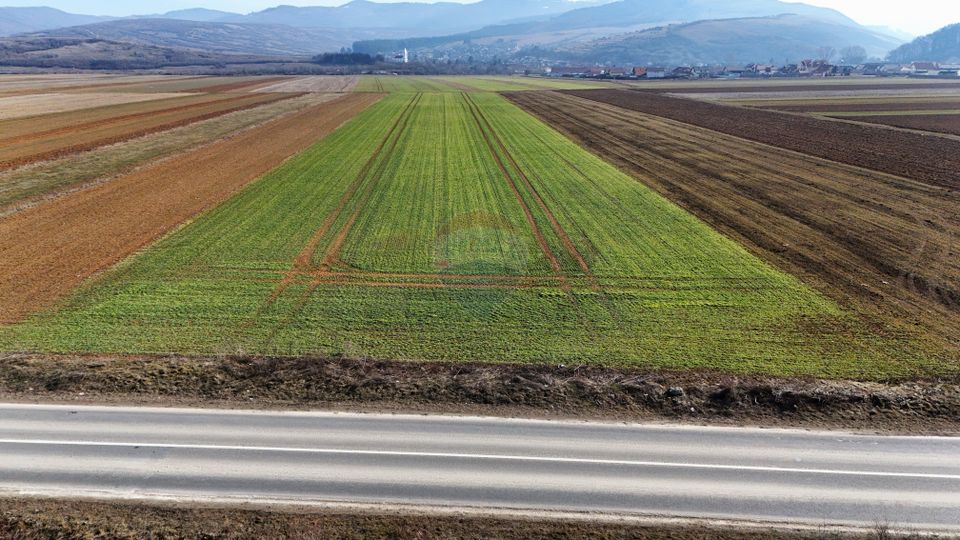 Teren extravilan | 14,600mp | Tărlungeni