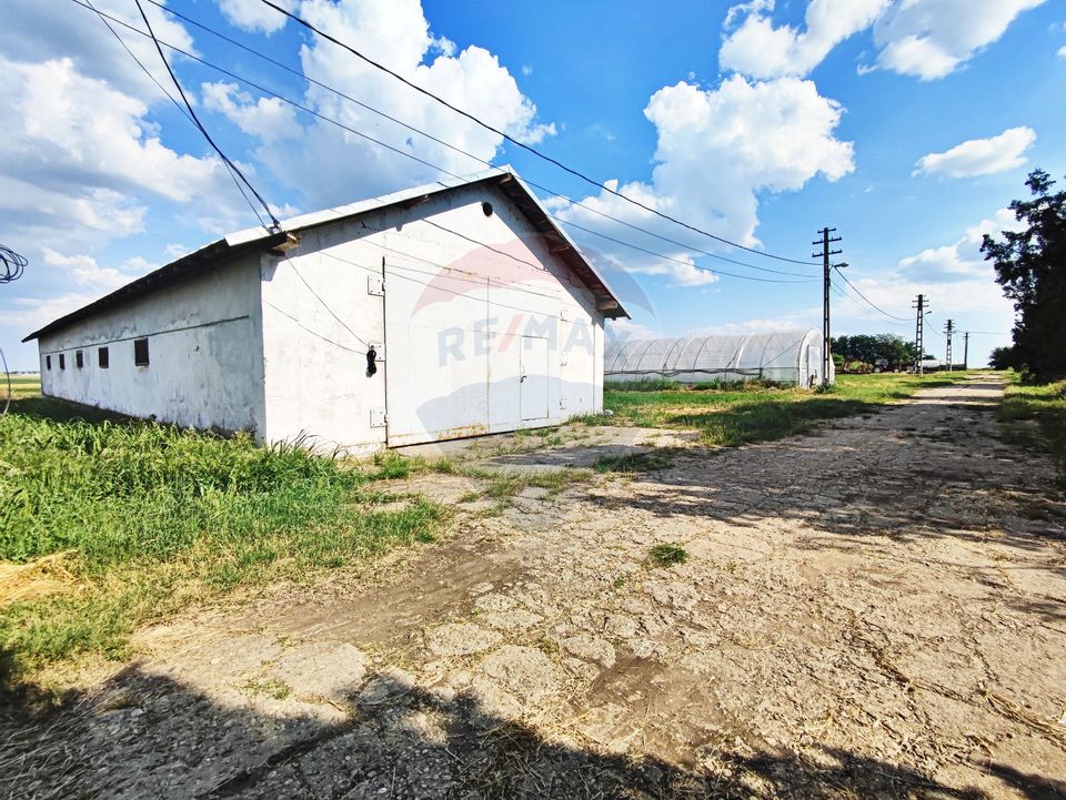 186sq.m Proprietate specială for sale