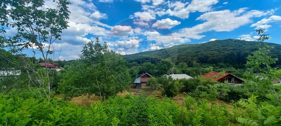 Teren Intravilan de vanzare 3551mp Poiana Copaceni Com Gura Vitioarei