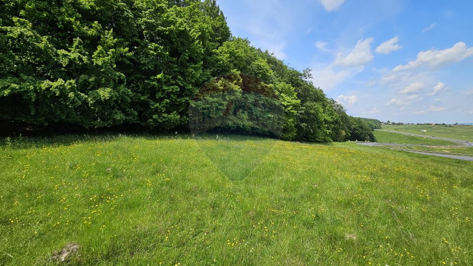 Teren Ilisesti  7000mp extravilan/ DN 17, Suceava