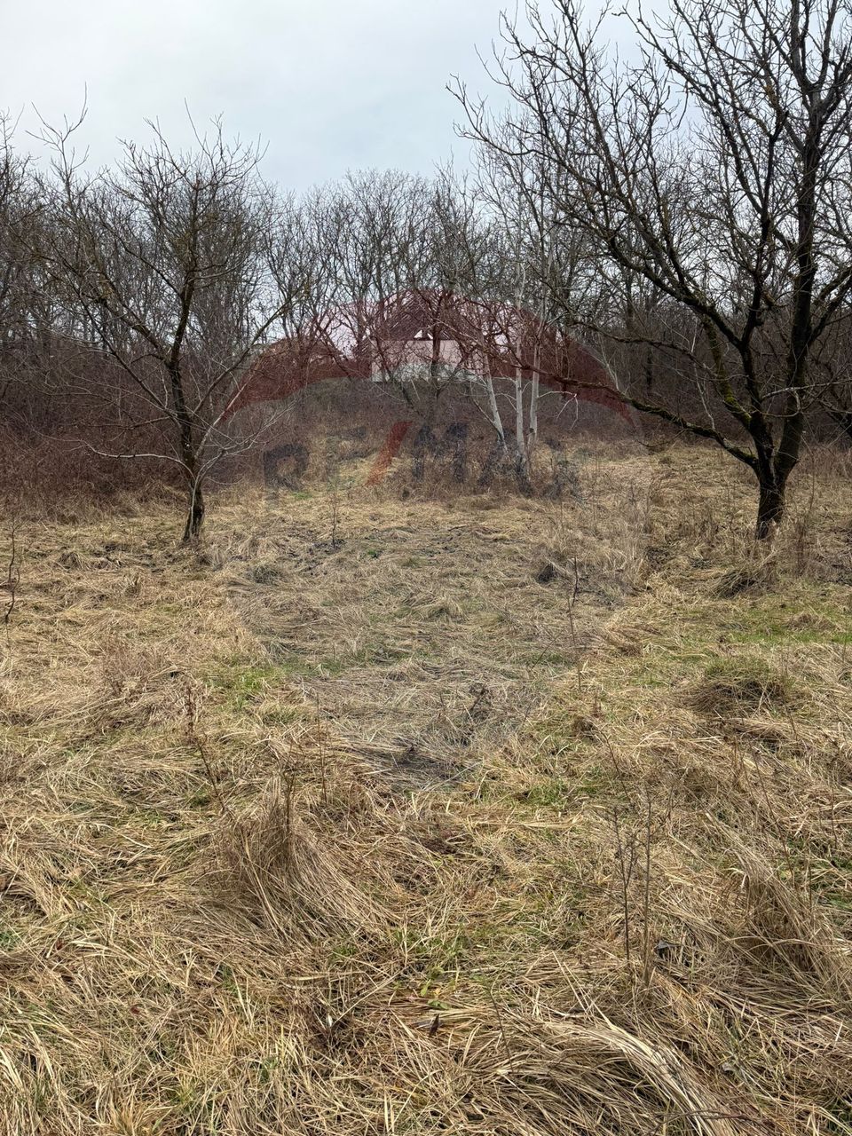 DE VANZARE Teren Strada Victoriei Baia Mare