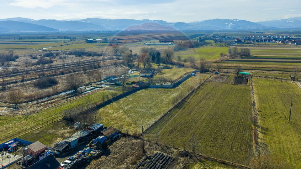 Teren Intravilan 5.000 mp Prejmer -  Strada Preot Ioan Popescu