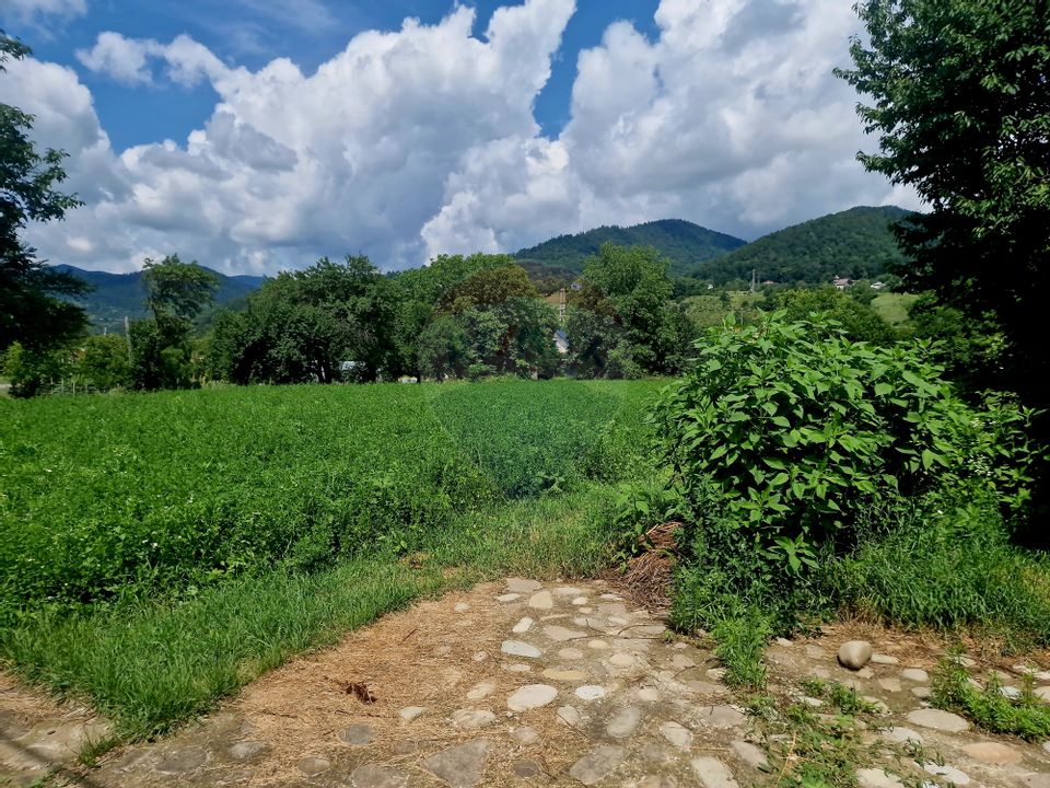 Teren intravilan 1000 mp – Viișoara, utilități