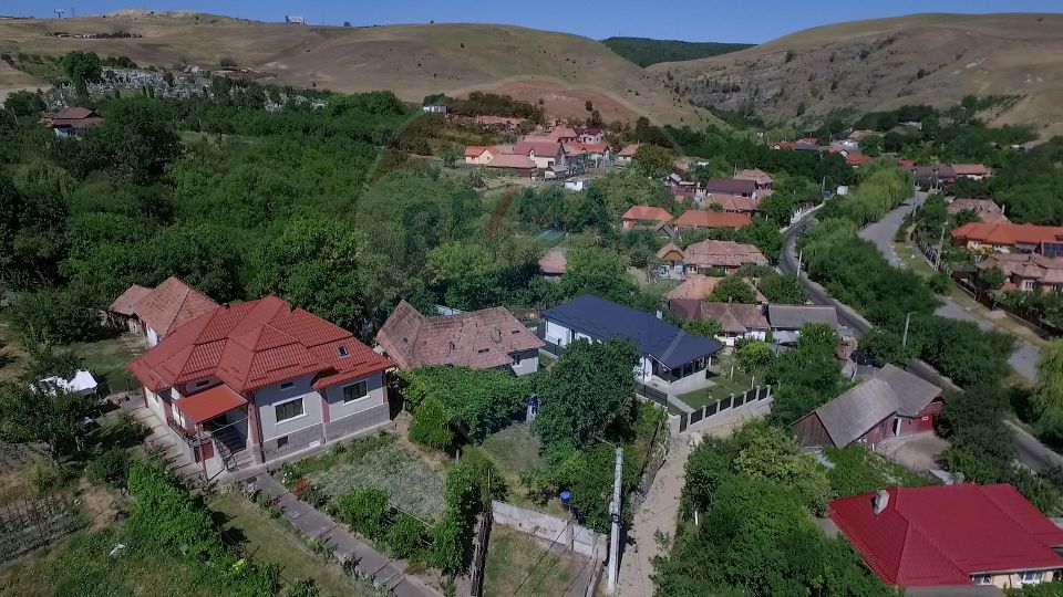 Casa cu gradina de vanzare in Copaceni