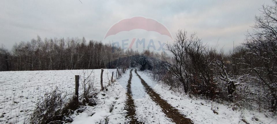 Land 7,800sqm Sinteu / Drumul Valea Tarnei