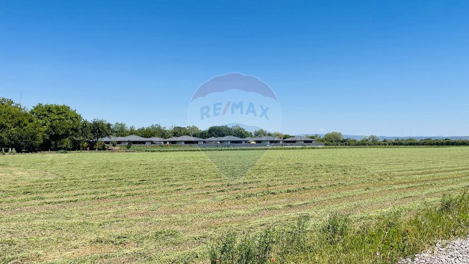 Teren intravilan 10.000 mp în Stupini, Brașov