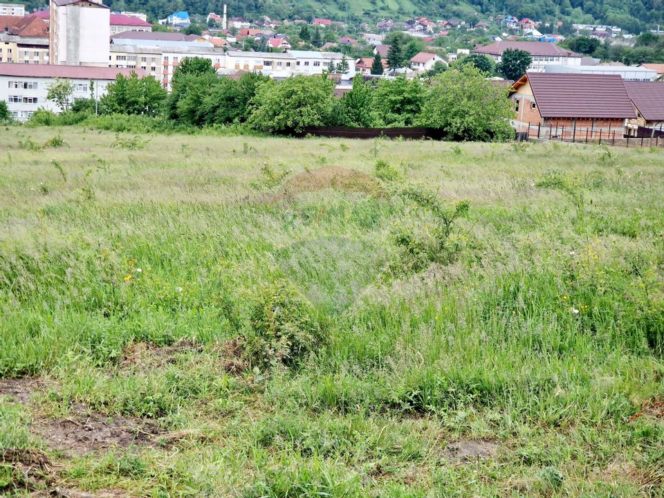 Teren 2,606mp Piatra-Neamt / Strada Orizontului