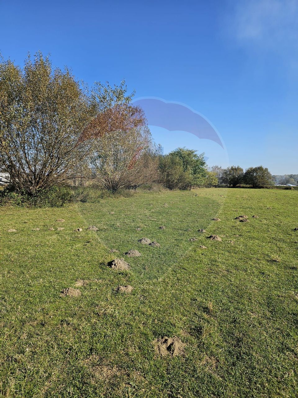 Land 6,636sqm Cisnadioara / Strada DJ106D