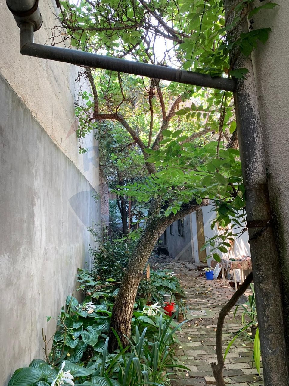 5 room House / Villa for sale, Central area