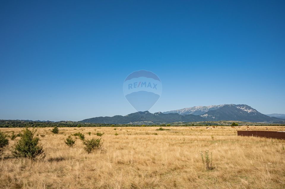 Land 23,000sqm Rasnov / Strada Glajerie-Raul Mare