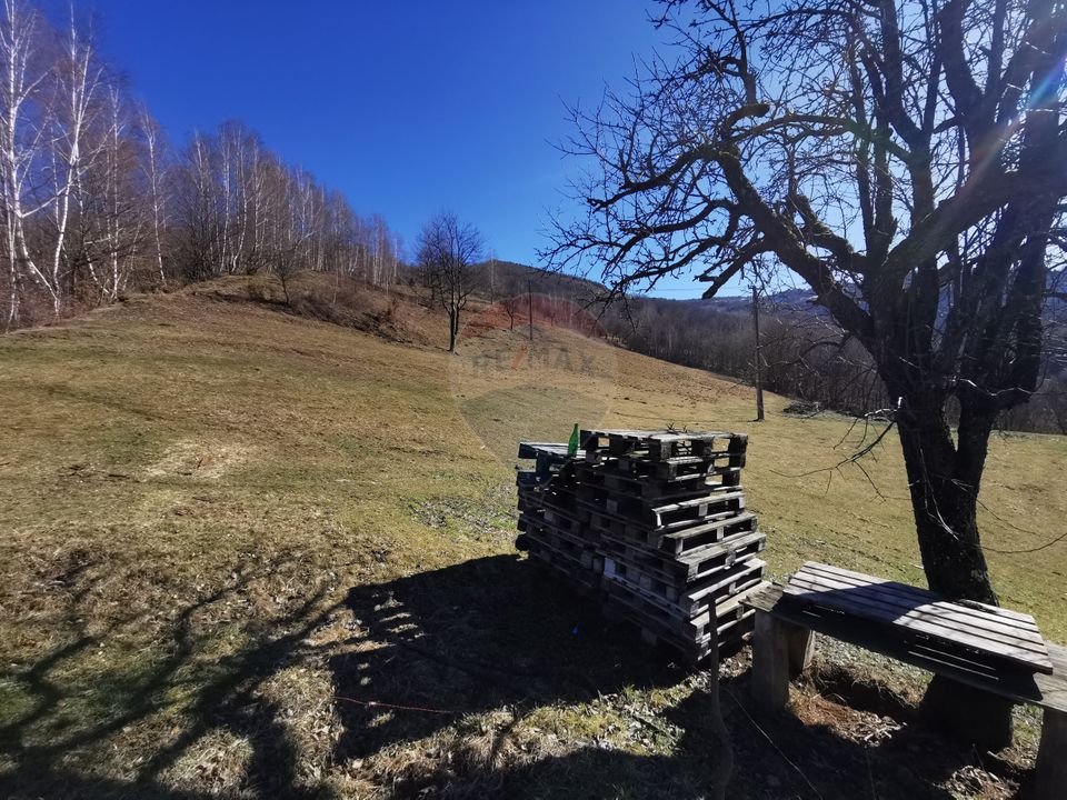 De vânzare teren intravilan 10,100 mp, cu anexă, Munteni