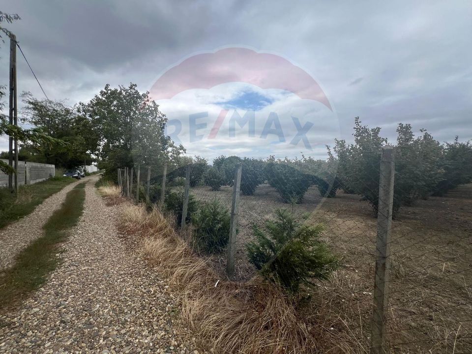 Teren 1300mp Campineanca / Intrare din Strada Hotarului