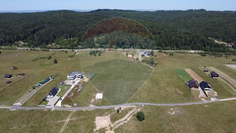 Teren 3,757mp Paltinoasa / Strada principala