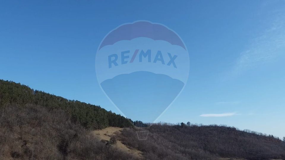 Land 48,428sqm Laz (Vintu de Jos) / Strada PRINCIPALA